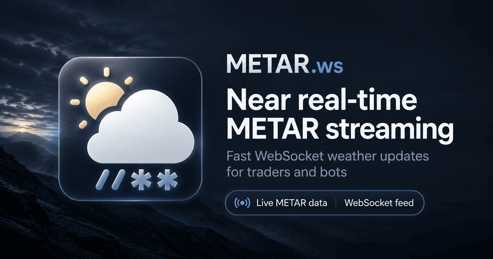 METAR.ws screenshot 1